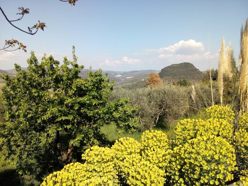 Villa Il Palazzino Volterra Eksteriør bilde